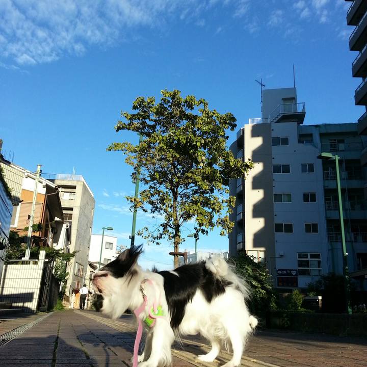 4cadd29a 35f1 42b2 96c7 99c2122490a9