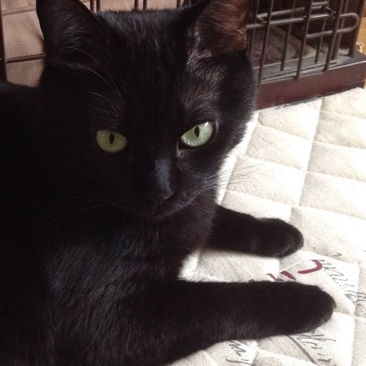 4cae3cdd 9a50 4ad5 9ead 38c185dc8e1b