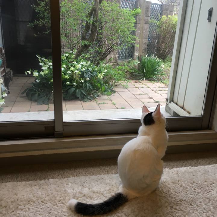 4caf7384 d3e4 46e1 bbdd fe99176f8ecb