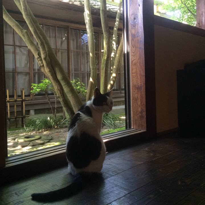 4cafcc2a ba31 41d9 8fb2 639a5f8fe58e