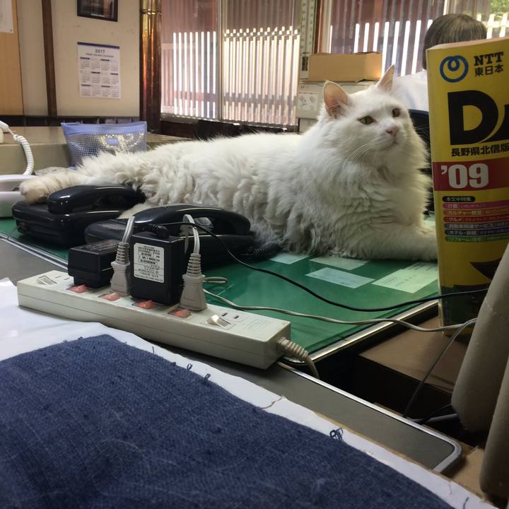 4caff785 a8bb 4b09 8690 55ae7ee72628