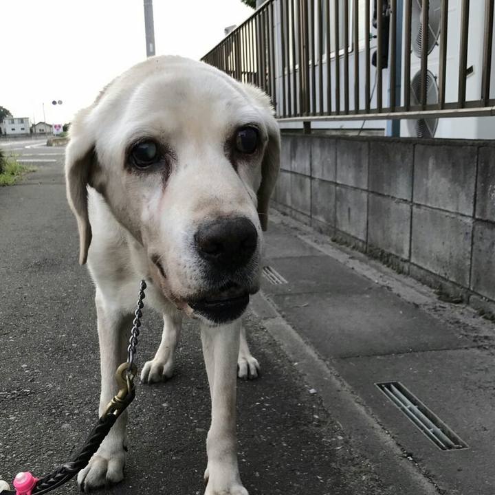 4cb083ca 48d8 4845 8135 233532b3da86