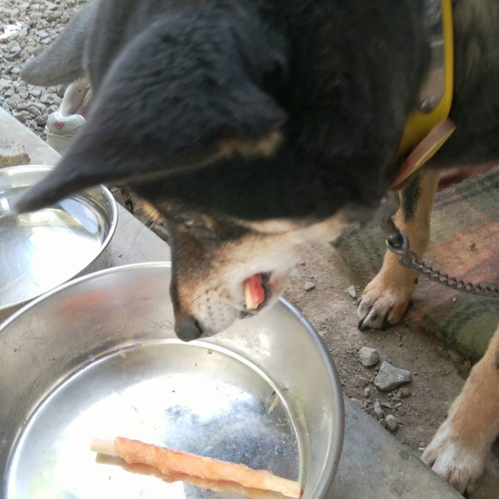 4cb0d065 20a9 4ead 9958 556ec10ac51d