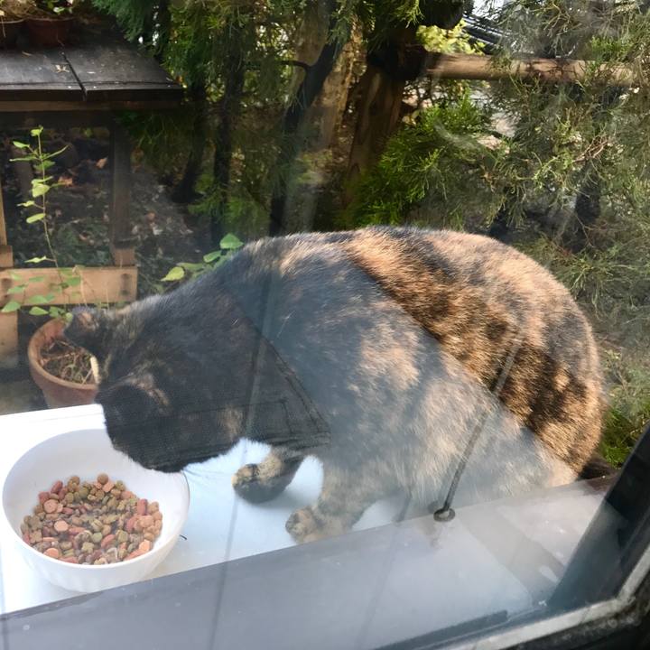 4cb0fcc5 0b35 4d20 9c91 214daf047778