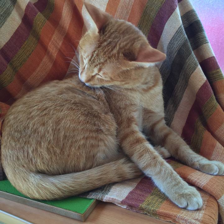 4cb1309b 9fd2 4b0d 99ab 3e740a15450d