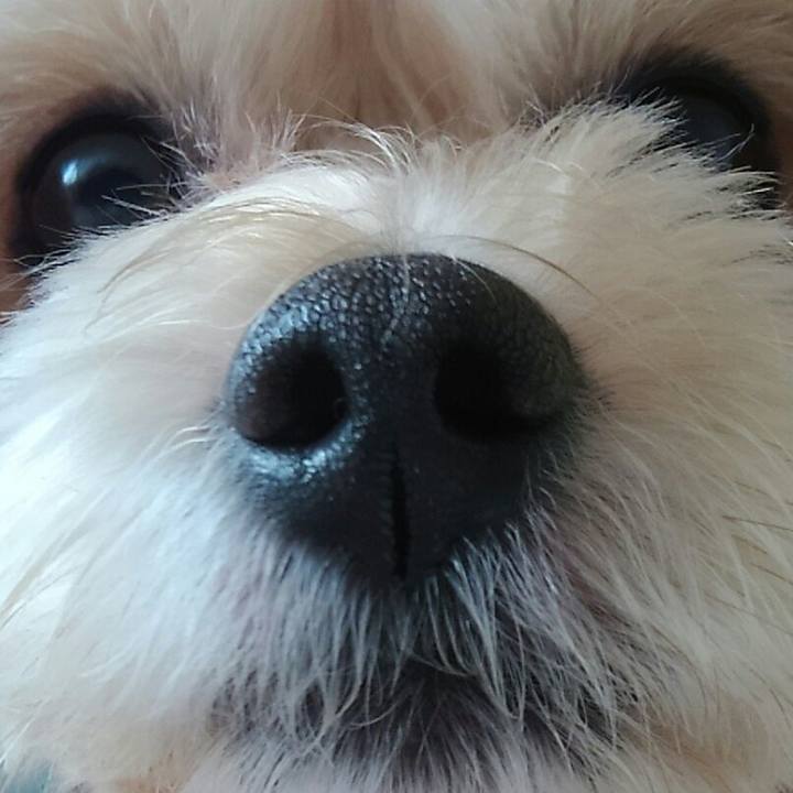 4cb161c5 3d1d 4e98 980f 70d24f153b5a