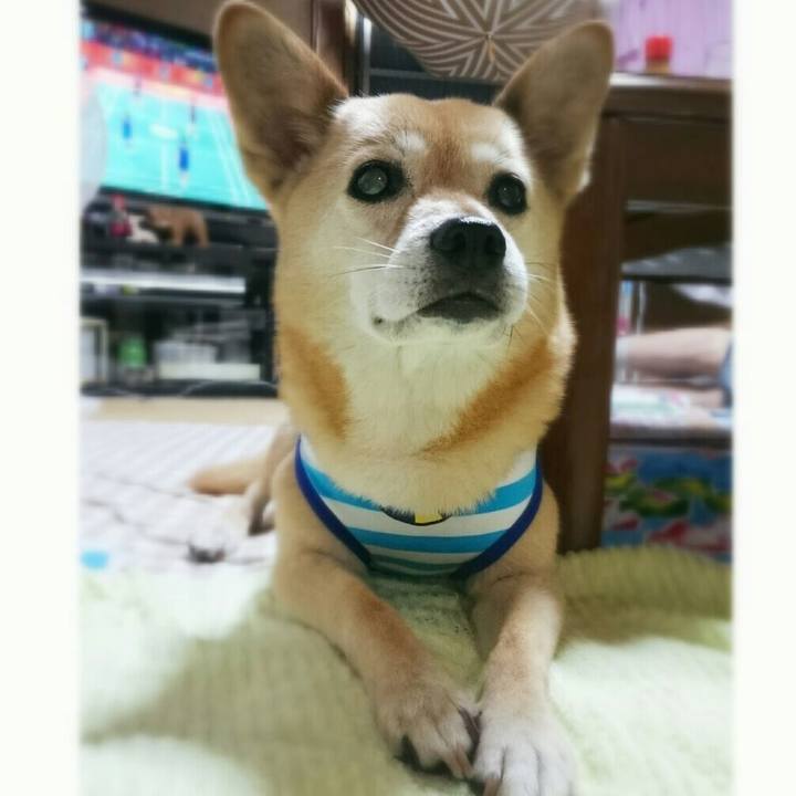 4cb16573 55c8 48cf aaa0 4f8744d68155