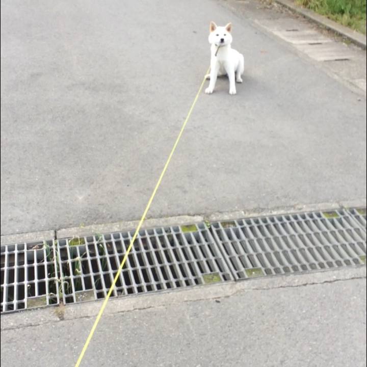 4cb1ce5e 9ed2 469b 85a0 1db880a944de