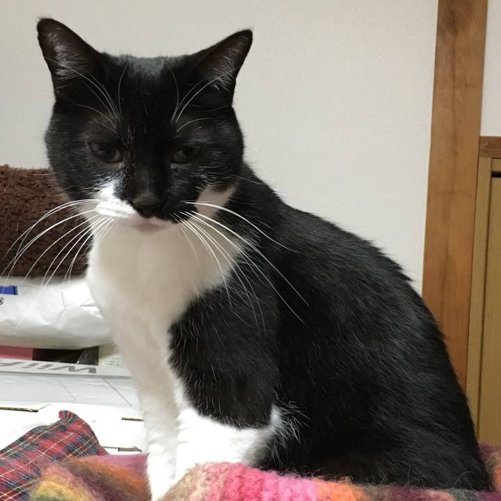 4cb210d3 51b8 4257 989d 9e4a27e70fe9