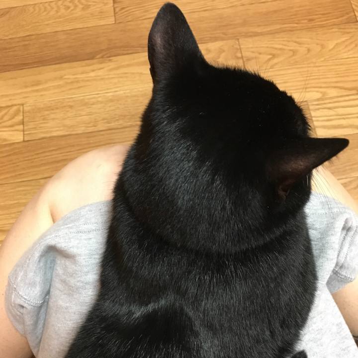 4cb22ac1 f06b 44fd ba22 dc7dd9ad2d67