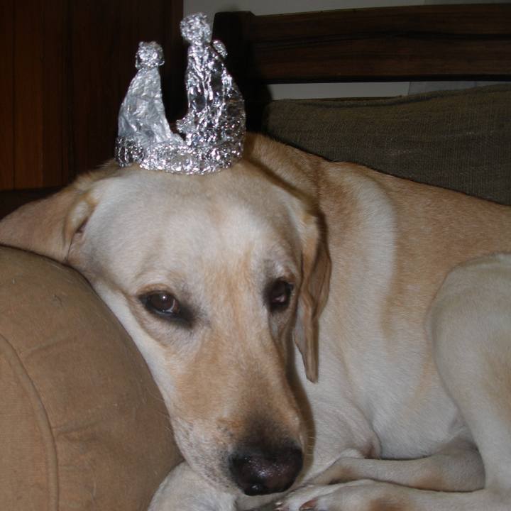 4cb23330 d5c9 4255 aa9d 47c9c9a943b9