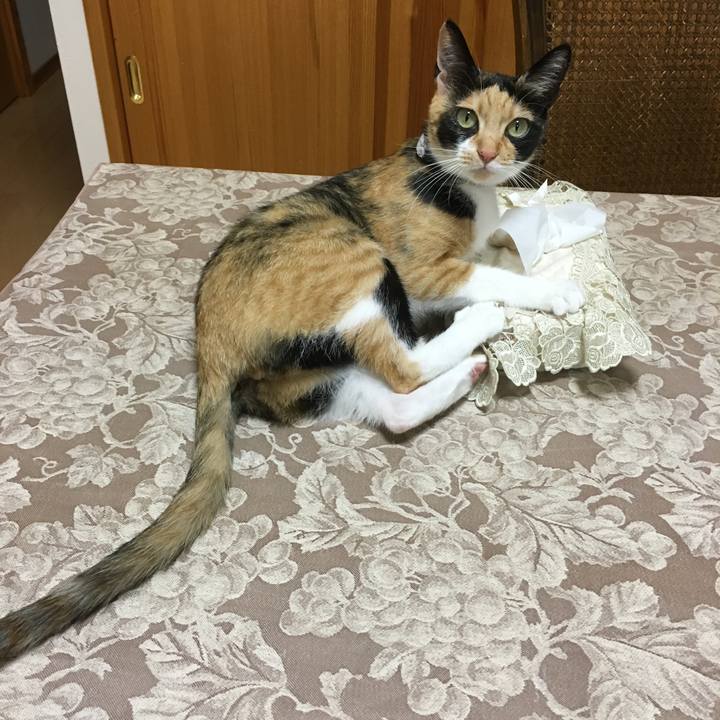 4cb26d76 3eb1 4dc1 90af 46bbbaacc766