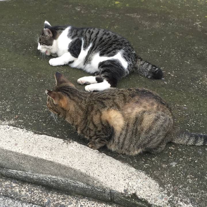 4cb2acdf 676d 47f1 b250 f27e56b07eda