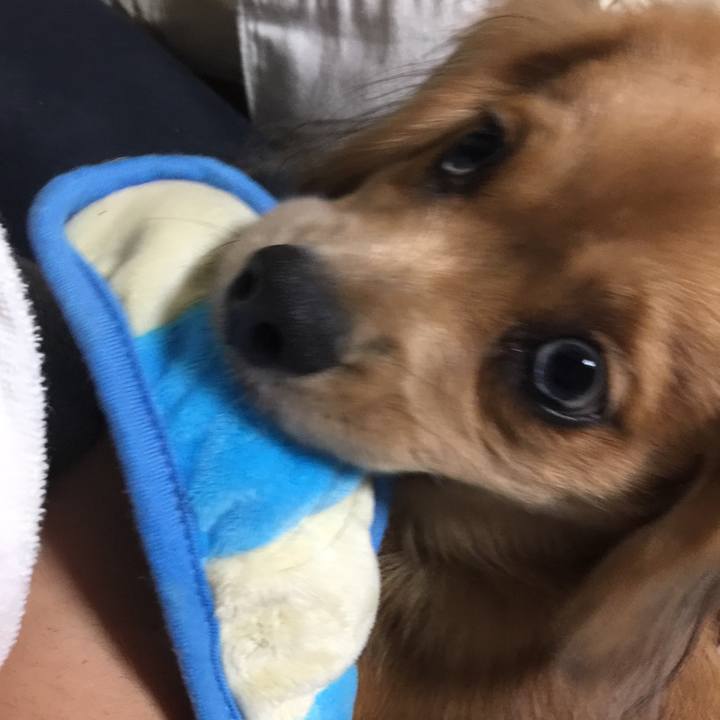 4cb2af88 80ec 406e 9a30 ae0c1a643281