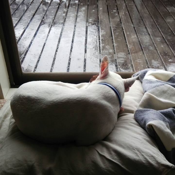 4cb2f6dc efcf 4084 8a66 013166fdf015