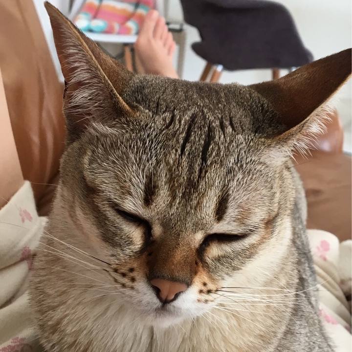 4cb2f816 a08c 4601 8f3b 0e399dad3e81