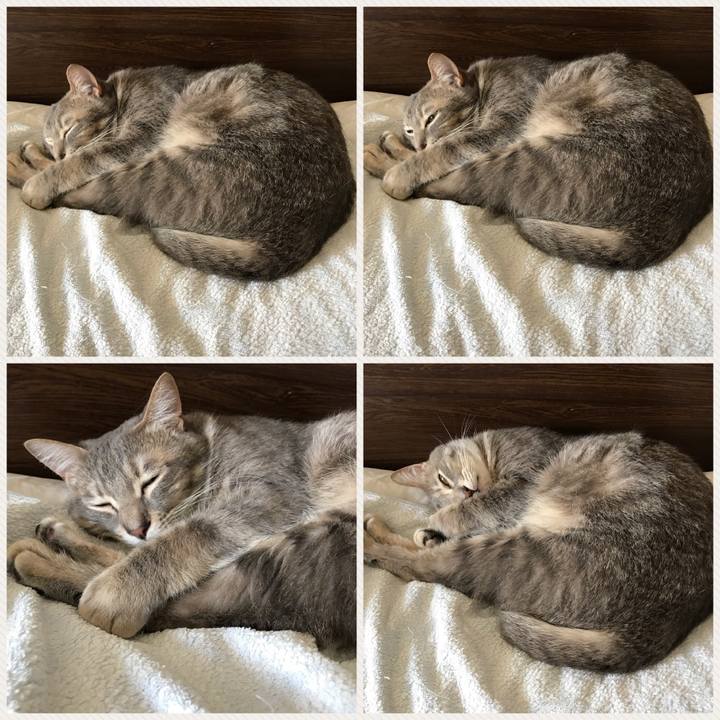 4cb30566 aa67 4a51 84a8 e096537a3453