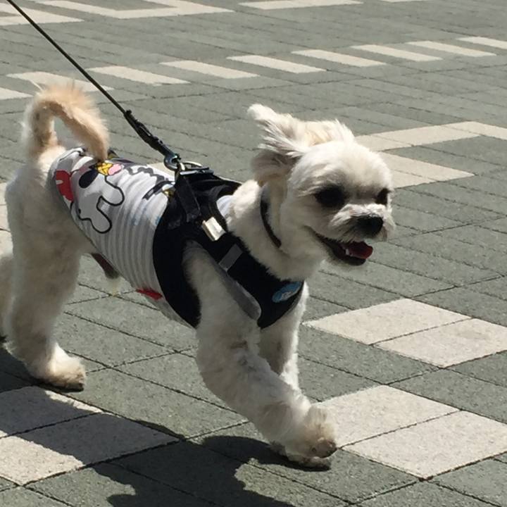 4cb3a450 af34 4f12 bdce 77420ceb659a