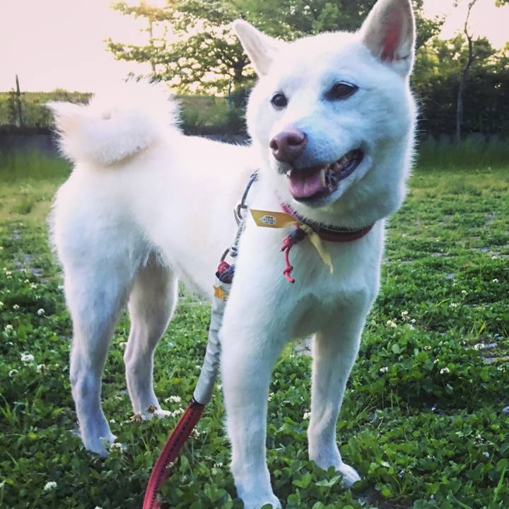 4cb3a528 31b2 4d01 b8c3 26d9def0f3f4