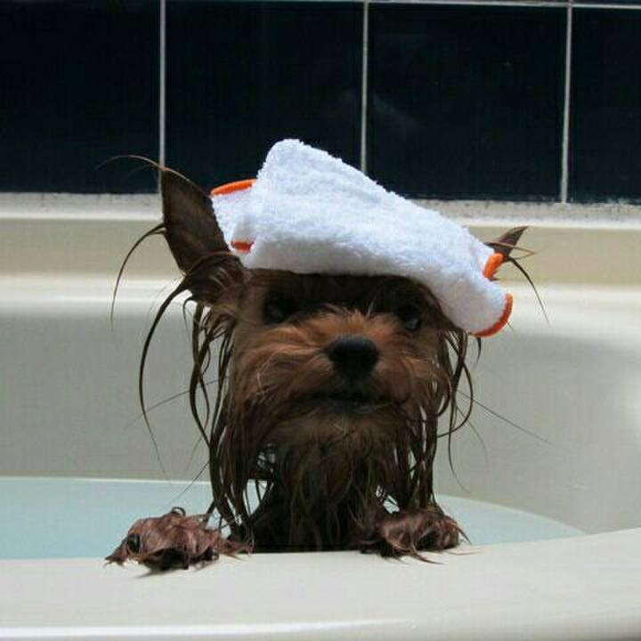 4cb4886e cf11 40c7 9607 7bd6091096d9