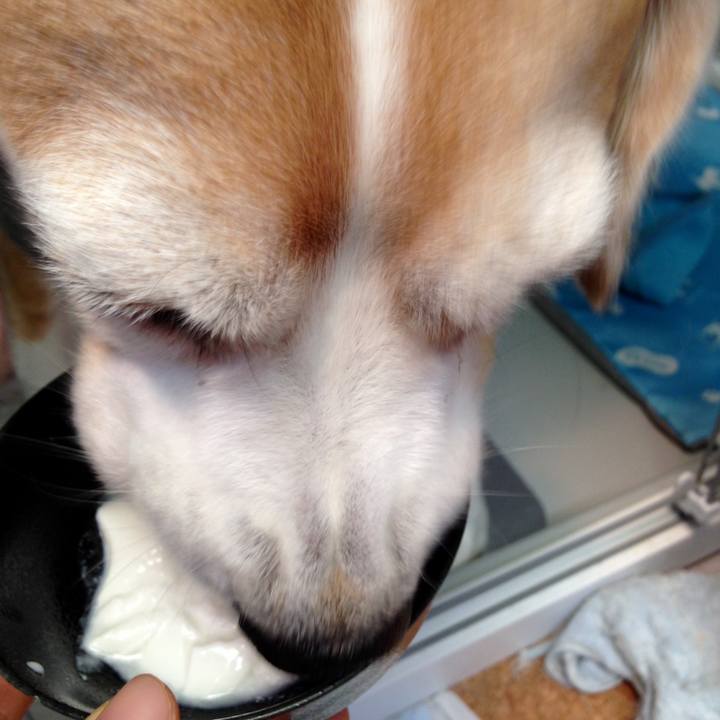 4cb542bf e7cb 4d19 8e96 0bc514d5c9c6