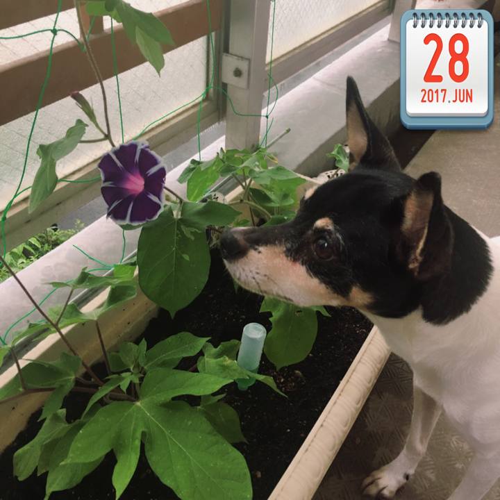 4cb6265b 510c 40f8 951b 3a86e3f763a9