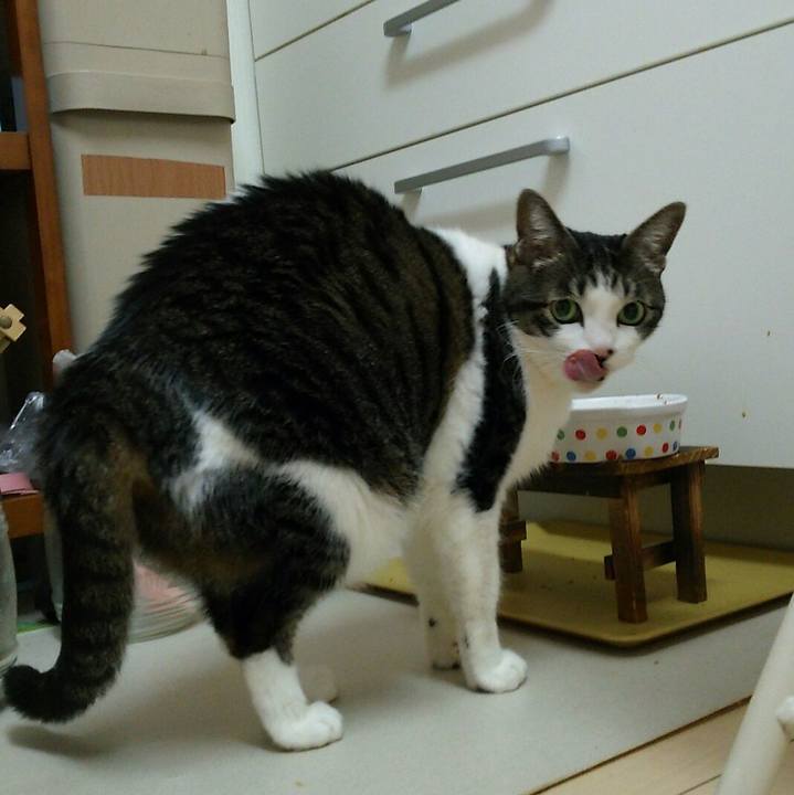 4cb7bd92 a382 4744 9dcb 16da7f506abb