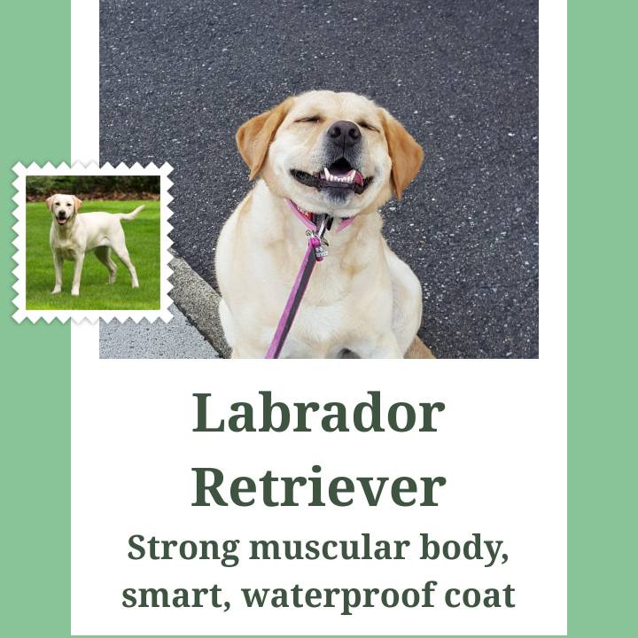 4cb7c552 9936 4da5 af07 b65d326426e4