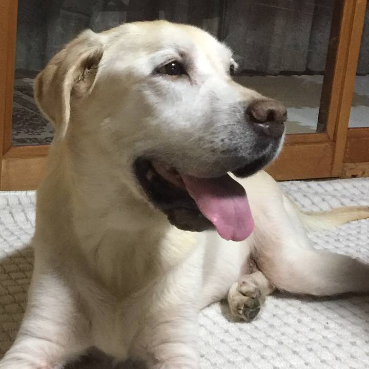 4cb7c6e0 dbd6 43f6 8fe7 51cb575b5ded