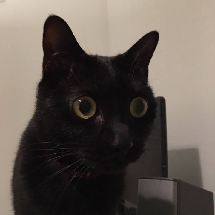 4cb887dd 9cb0 488e b1f7 577fa074a78b