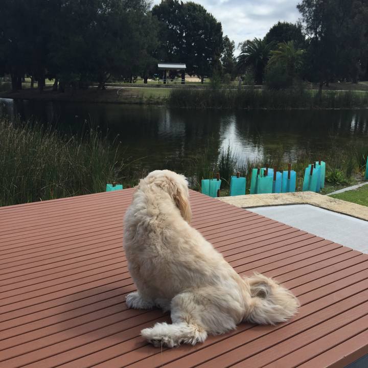 4cb89394 27cc 4c36 9bf8 8a704a382f46