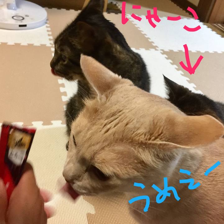 4cb8fcb8 c634 47eb ae48 b40e5390c76a