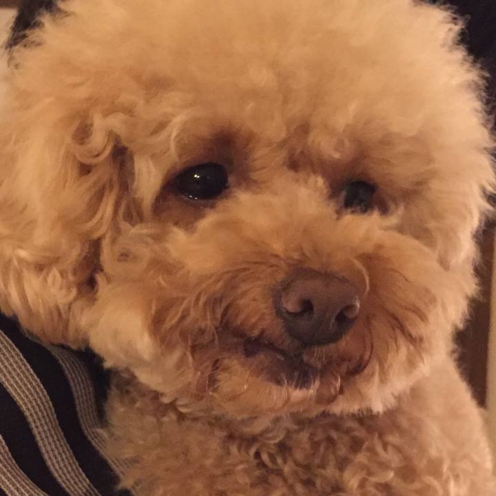 4cb9112d c24e 4669 bb65 19493d3bba58