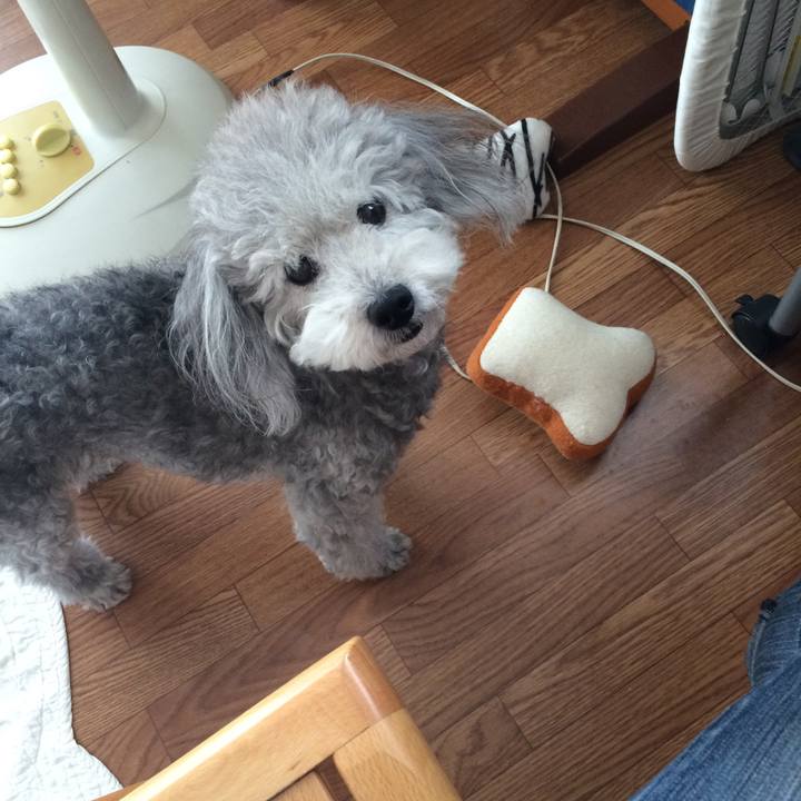 4cb969cf 7285 4a4c b71a 28998873460a