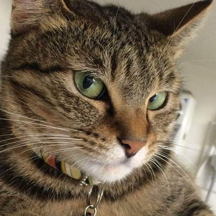 4cb9f1ae e868 4f70 a5fd 4e1c87ee1fe0