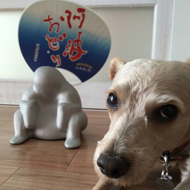 4cba03c1 628c 406c 8ce2 4d55337c52c1