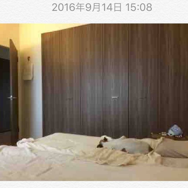 4cba84fd f0a8 4e3b aa29 c368e58d768e