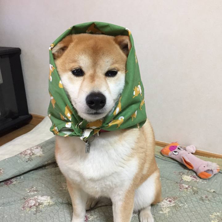 4cbac1b2 fe54 4036 aff5 1b77e763c3eb