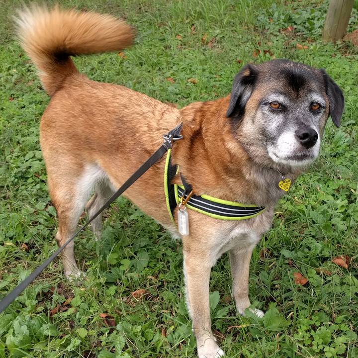 4cbb5259 a404 45e6 b1e8 06a692529edb