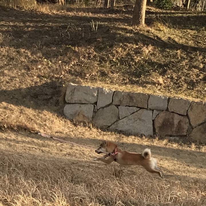 4cbb80ad f15d 45fc be07 ec0a36bdb5bc