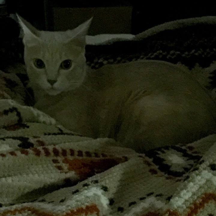 4cbc0cab 3adf 4402 8427 8bc2cf052a51