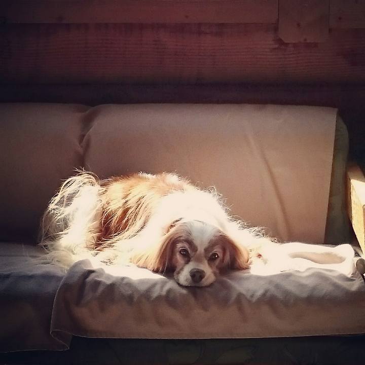 4cbc2213 fd76 4f5a 8742 938d558d0f5d