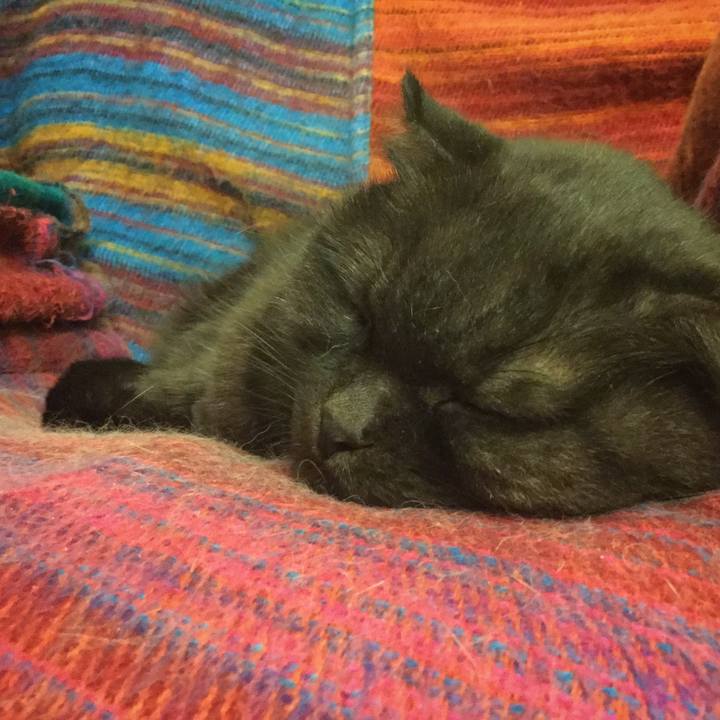 4cbc2b2d a0ce 4a4f ad41 f2e5241e27fd