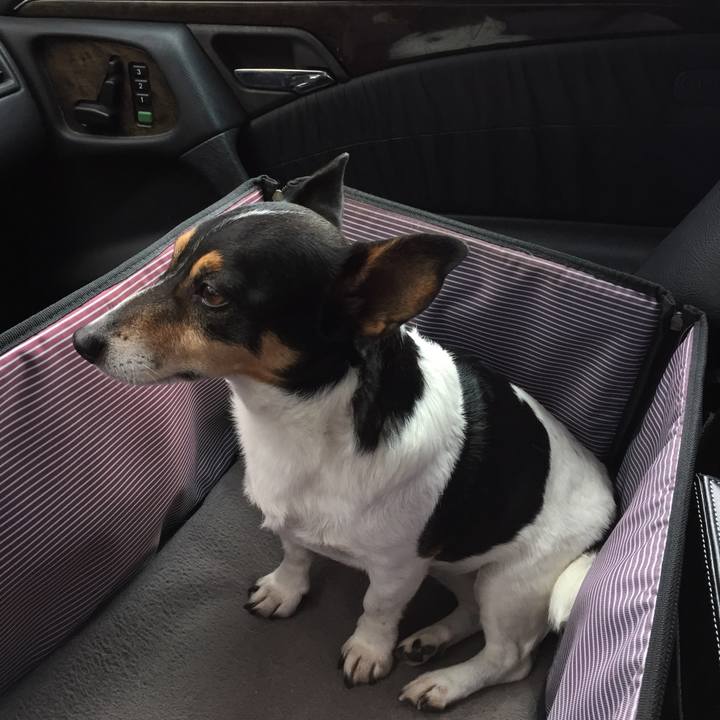 4cbc4cf2 e6a3 4f36 9e8a 805c585846f8