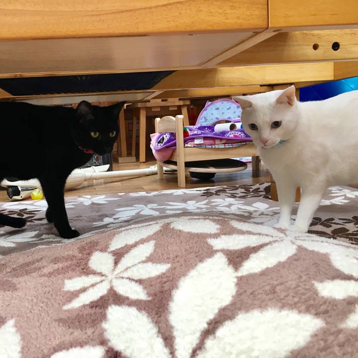 4cbc99a2 2237 4b0d bbb8 e4447f1aa05d