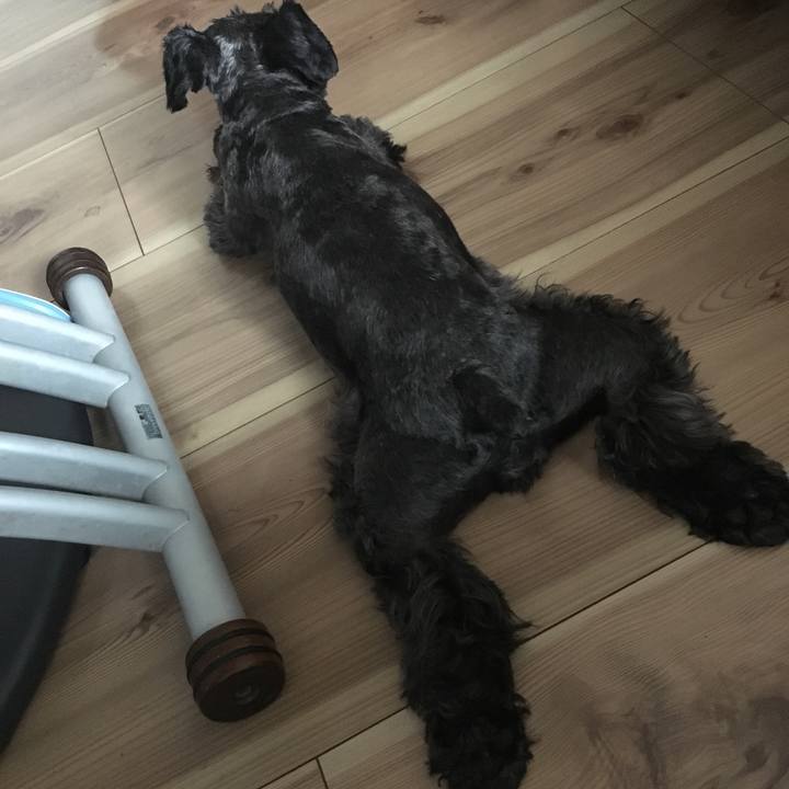 4cbd23a7 4df4 43b0 86ac 1bcd418f3f02