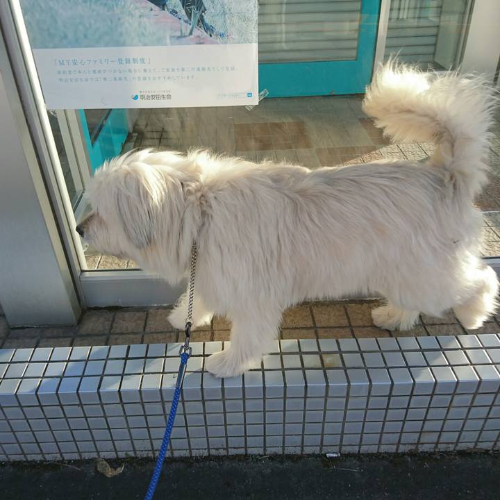 4cbdbdc6 708d 4ed1 8fdf f9640d2eb558