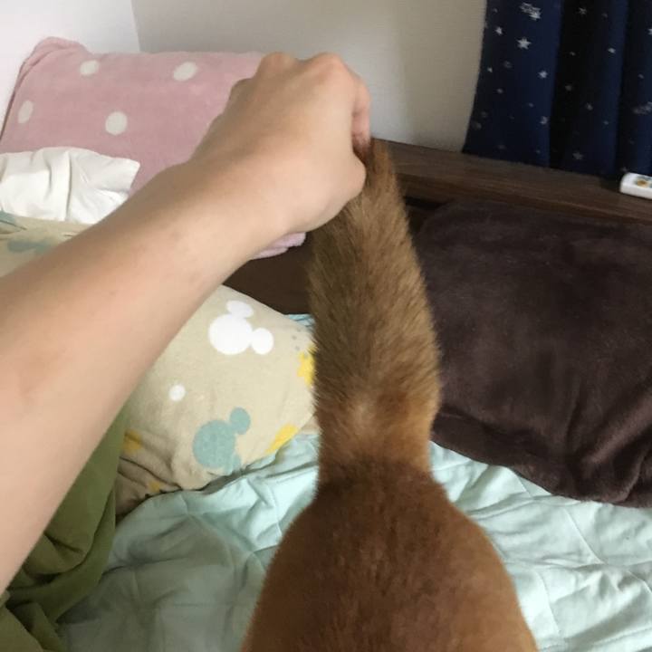 4cbddf22 f739 4e05 a9cf f8937ed23fbc