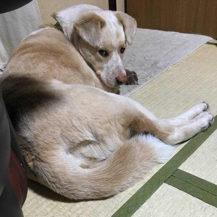 4cbdebf0 1392 4f75 af48 ba23307ed2e6