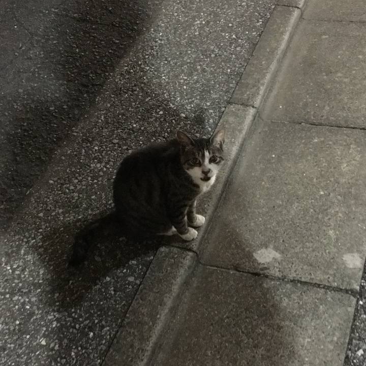 4cbe0274 e37a 4045 88e3 2c411a1be494